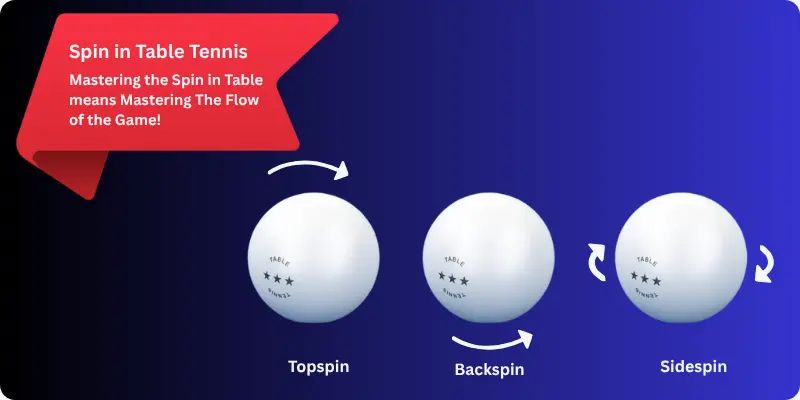 An image showing the types of Spin in Table tennis