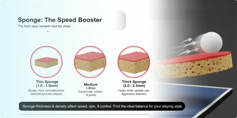 Table tennis racket sponge showing thickness affecting speed and spin