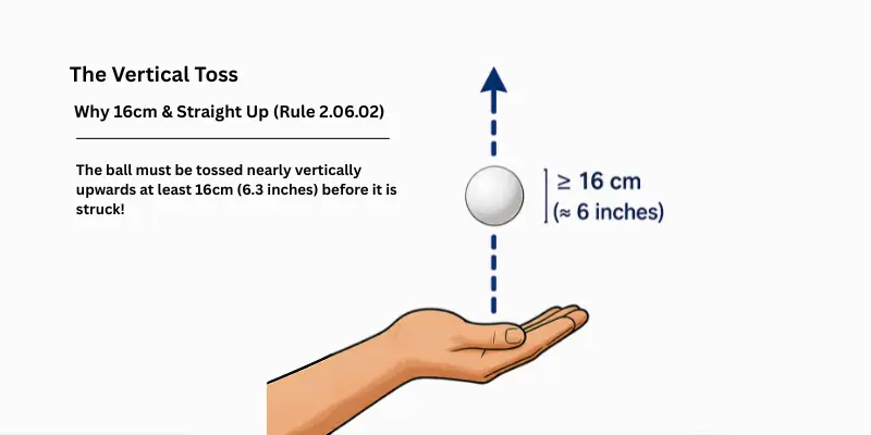 Service rules in table tennis vertical toss rule 2.06.02 ball tossed straight up 16cm 6.3 inches