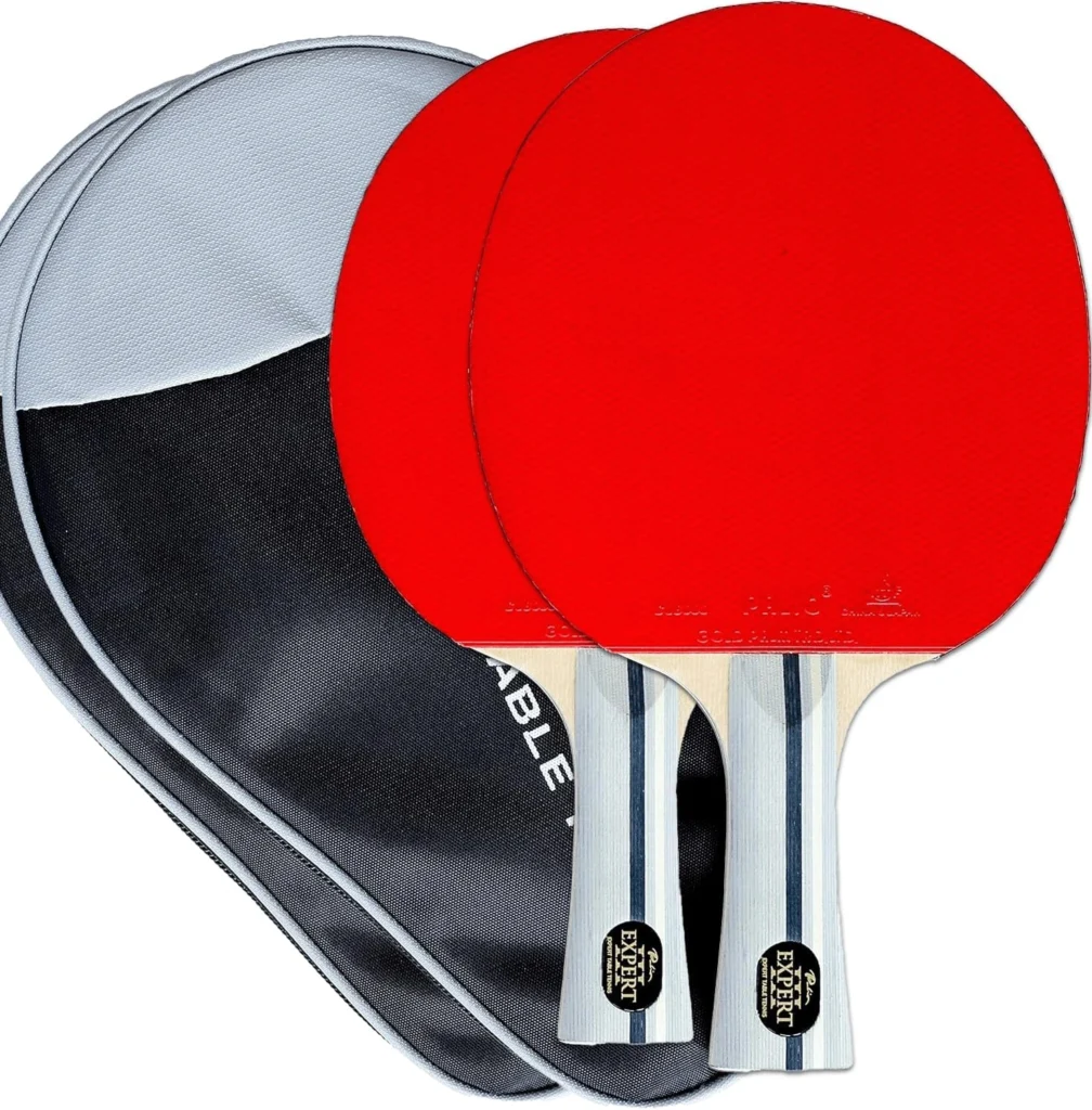 Palio Expert 3.0 beginner table tennis racket for learning spin fundamentals